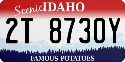 ID license plate 2T8730Y