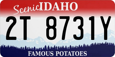 ID license plate 2T8731Y