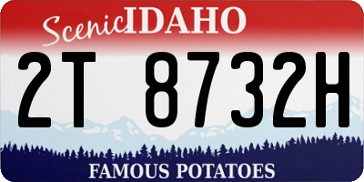 ID license plate 2T8732H