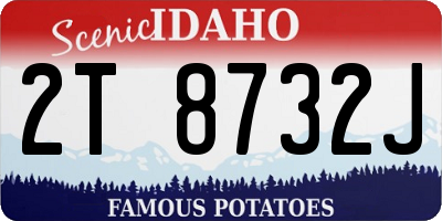 ID license plate 2T8732J