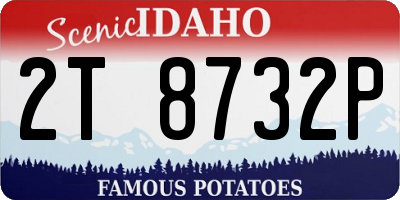 ID license plate 2T8732P