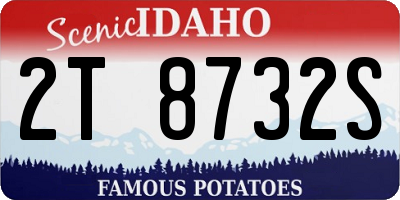 ID license plate 2T8732S