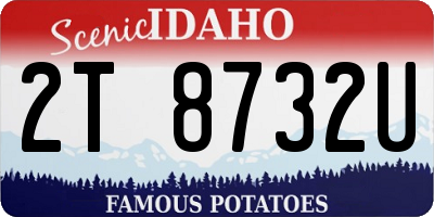 ID license plate 2T8732U