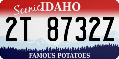 ID license plate 2T8732Z