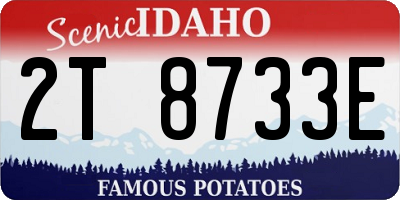 ID license plate 2T8733E