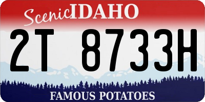 ID license plate 2T8733H