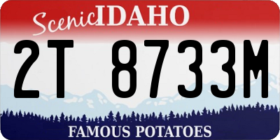 ID license plate 2T8733M