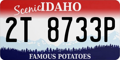 ID license plate 2T8733P