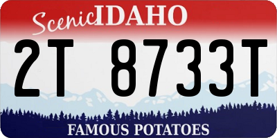 ID license plate 2T8733T