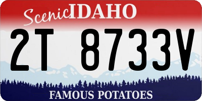 ID license plate 2T8733V