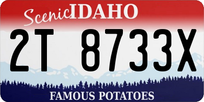 ID license plate 2T8733X