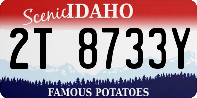 ID license plate 2T8733Y