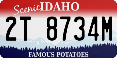 ID license plate 2T8734M