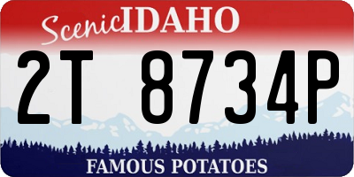 ID license plate 2T8734P