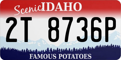 ID license plate 2T8736P