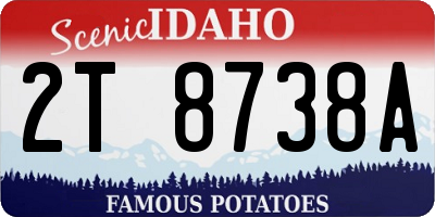 ID license plate 2T8738A