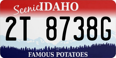 ID license plate 2T8738G