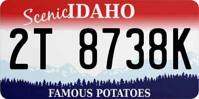 ID license plate 2T8738K