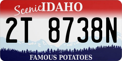 ID license plate 2T8738N