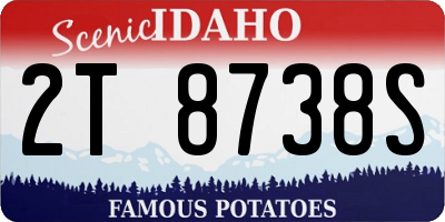 ID license plate 2T8738S