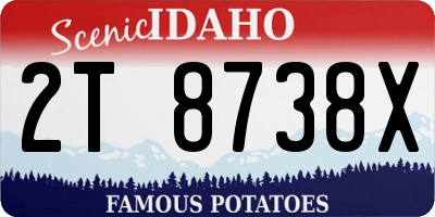 ID license plate 2T8738X