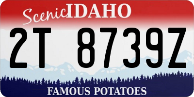 ID license plate 2T8739Z