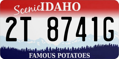 ID license plate 2T8741G