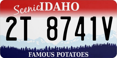 ID license plate 2T8741V