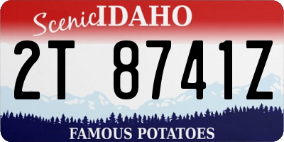 ID license plate 2T8741Z