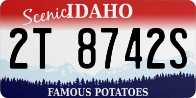 ID license plate 2T8742S