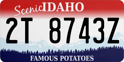 ID license plate 2T8743Z