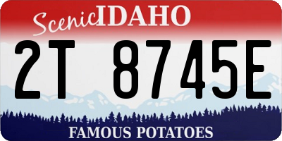 ID license plate 2T8745E