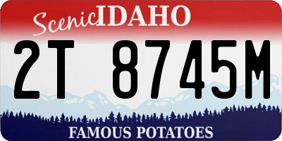 ID license plate 2T8745M