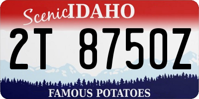 ID license plate 2T8750Z