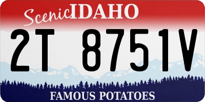 ID license plate 2T8751V