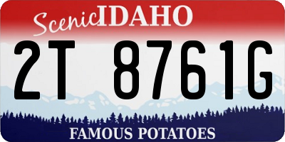 ID license plate 2T8761G