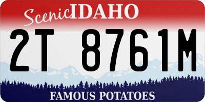 ID license plate 2T8761M
