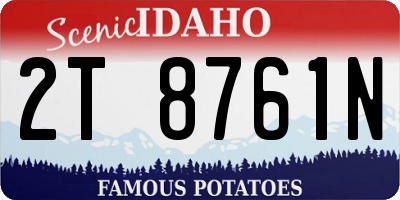 ID license plate 2T8761N