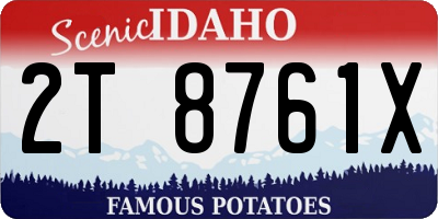 ID license plate 2T8761X