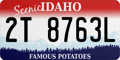 ID license plate 2T8763L