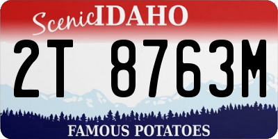 ID license plate 2T8763M