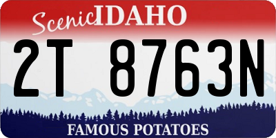 ID license plate 2T8763N