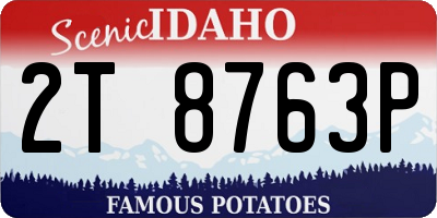 ID license plate 2T8763P