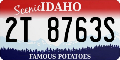 ID license plate 2T8763S