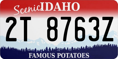 ID license plate 2T8763Z