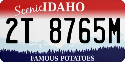 ID license plate 2T8765M