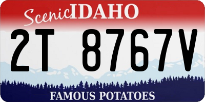 ID license plate 2T8767V