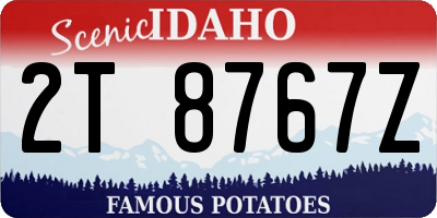 ID license plate 2T8767Z