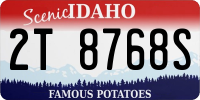 ID license plate 2T8768S