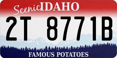 ID license plate 2T8771B